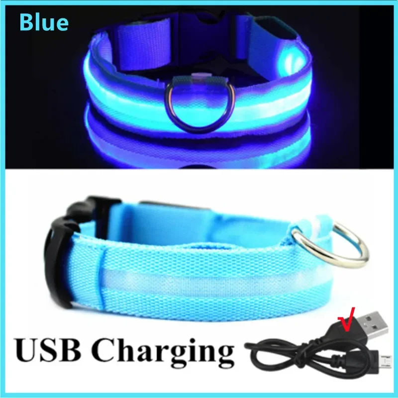 Sicherheit Hund 3-Modi LED Hundehalsband mit USB-Ladung – Leuchtendes Nacht-Halsband für Hunde & Katzen, abnehmbar, zur Verhinderung von Verlusten