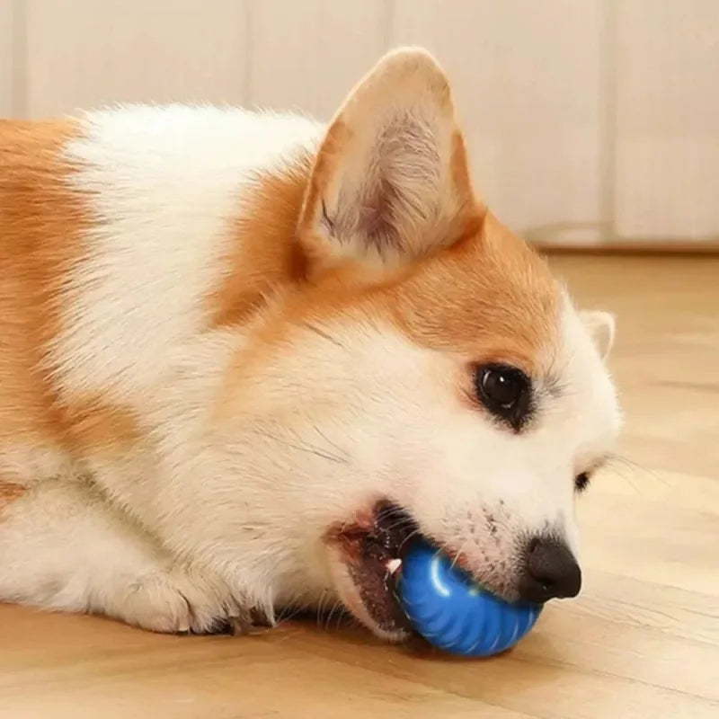 Dog Toy Hundespielzeugball, automatisch beweglicher Ball Smart-Hundeball – Bewegung, Spaß & Unterhaltung für deinen Vierbeiner!