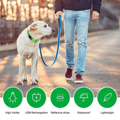 Sicherheit Hund 3-Modi LED Hundehalsband mit USB-Ladung – Leuchtendes Nacht-Halsband für Hunde & Katzen, abnehmbar, zur Verhinderung von Verlusten