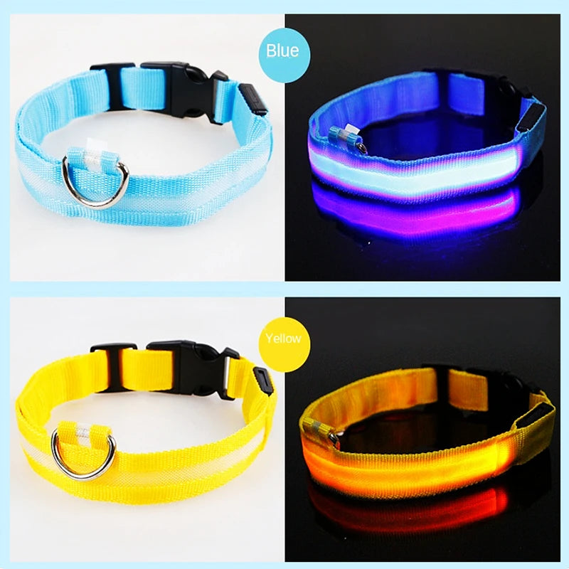Sicherheit Hund 3-Modi LED Hundehalsband mit USB-Ladung – Leuchtendes Nacht-Halsband für Hunde & Katzen, abnehmbar, zur Verhinderung von Verlusten
