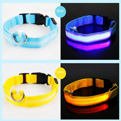 Sicherheit Hund 3-Modi LED Hundehalsband mit USB-Ladung – Leuchtendes Nacht-Halsband für Hunde & Katzen, abnehmbar, zur Verhinderung von Verlusten