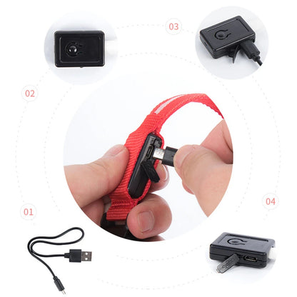 Sicherheit Hund 3-Modi LED Hundehalsband mit USB-Ladung – Leuchtendes Nacht-Halsband für Hunde & Katzen, abnehmbar, zur Verhinderung von Verlusten