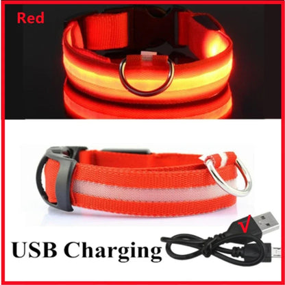 Sicherheit Hund 3-Modi LED Hundehalsband mit USB-Ladung – Leuchtendes Nacht-Halsband für Hunde & Katzen, abnehmbar, zur Verhinderung von Verlusten