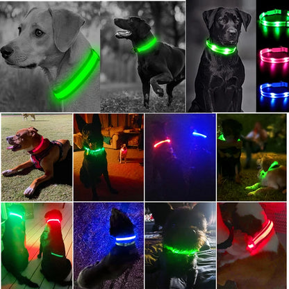 Sicherheit Hund 3-Modi LED Hundehalsband mit USB-Ladung – Leuchtendes Nacht-Halsband für Hunde & Katzen, abnehmbar, zur Verhinderung von Verlusten