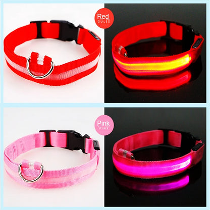 Sicherheit Hund 3-Modi LED Hundehalsband mit USB-Ladung – Leuchtendes Nacht-Halsband für Hunde & Katzen, abnehmbar, zur Verhinderung von Verlusten