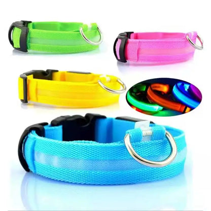 Sicherheit Hund 3-Modi LED Hundehalsband mit USB-Ladung – Leuchtendes Nacht-Halsband für Hunde & Katzen, abnehmbar, zur Verhinderung von Verlusten