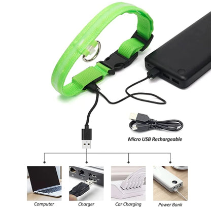 Sicherheit Hund 3-Modi LED Hundehalsband mit USB-Ladung – Leuchtendes Nacht-Halsband für Hunde & Katzen, abnehmbar, zur Verhinderung von Verlusten