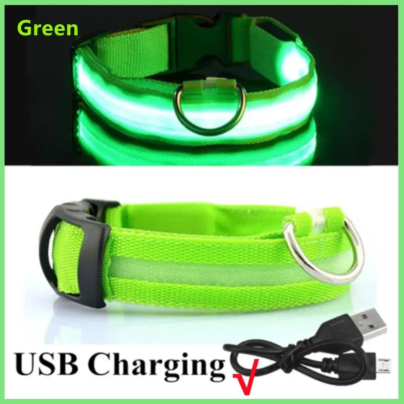 Sicherheit Hund 3-Modi LED Hundehalsband mit USB-Ladung – Leuchtendes Nacht-Halsband für Hunde & Katzen, abnehmbar, zur Verhinderung von Verlusten
