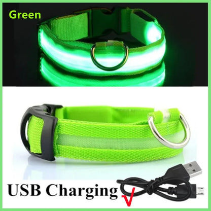 Sicherheit Hund 3-Modi LED Hundehalsband mit USB-Ladung – Leuchtendes Nacht-Halsband für Hunde & Katzen, abnehmbar, zur Verhinderung von Verlusten