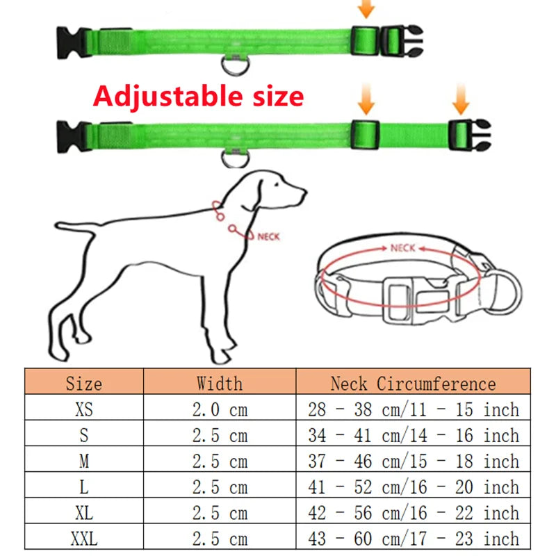 Sicherheit Hund 3-Modi LED Hundehalsband mit USB-Ladung – Leuchtendes Nacht-Halsband für Hunde & Katzen, abnehmbar, zur Verhinderung von Verlusten