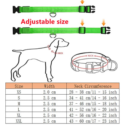 Sicherheit Hund 3-Modi LED Hundehalsband mit USB-Ladung – Leuchtendes Nacht-Halsband für Hunde & Katzen, abnehmbar, zur Verhinderung von Verlusten