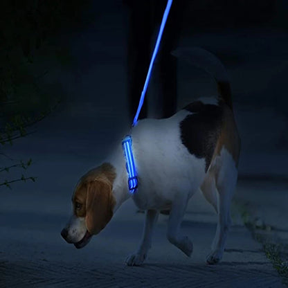Sicherheit Hund 3-Modi LED Hundehalsband mit USB-Ladung – Leuchtendes Nacht-Halsband für Hunde & Katzen, abnehmbar, zur Verhinderung von Verlusten