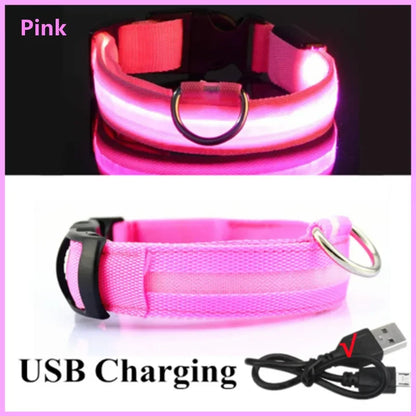 Sicherheit Hund 3-Modi LED Hundehalsband mit USB-Ladung – Leuchtendes Nacht-Halsband für Hunde & Katzen, abnehmbar, zur Verhinderung von Verlusten