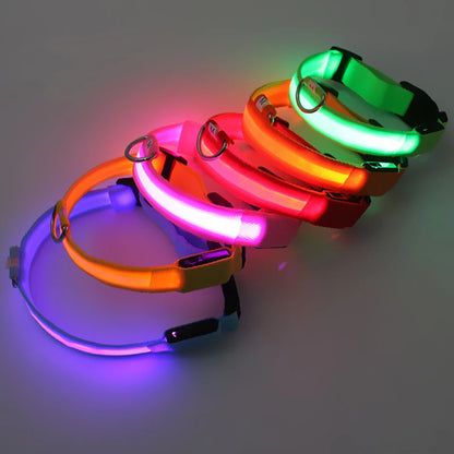 Sicherheit Hund 3-Modi LED Hundehalsband mit USB-Ladung – Leuchtendes Nacht-Halsband für Hunde & Katzen, abnehmbar, zur Verhinderung von Verlusten