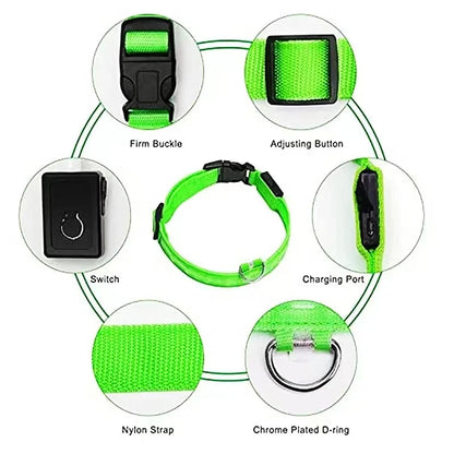 Sicherheit Hund 3-Modi LED Hundehalsband mit USB-Ladung – Leuchtendes Nacht-Halsband für Hunde & Katzen, abnehmbar, zur Verhinderung von Verlusten