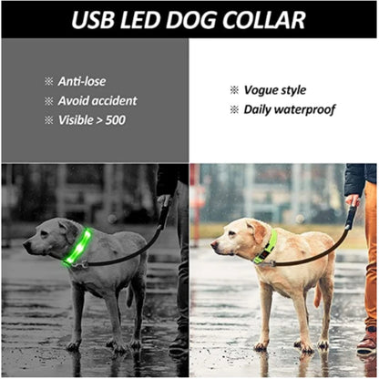 Sicherheit Hund 3-Modi LED Hundehalsband mit USB-Ladung – Leuchtendes Nacht-Halsband für Hunde & Katzen, abnehmbar, zur Verhinderung von Verlusten