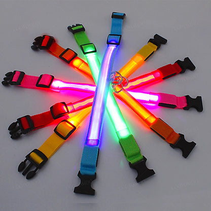 Sicherheit Hund 3-Modi LED Hundehalsband mit USB-Ladung – Leuchtendes Nacht-Halsband für Hunde & Katzen, abnehmbar, zur Verhinderung von Verlusten