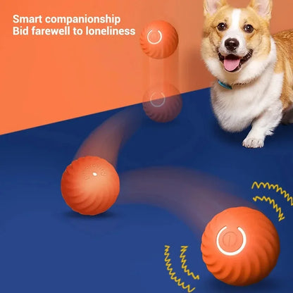 Dog Toy Hundespielzeugball, automatisch beweglicher Ball Smart-Hundeball – Bewegung, Spaß & Unterhaltung für deinen Vierbeiner!