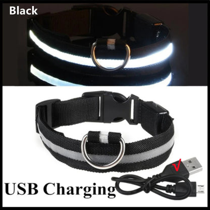 Sicherheit Hund 3-Modi LED Hundehalsband mit USB-Ladung – Leuchtendes Nacht-Halsband für Hunde & Katzen, abnehmbar, zur Verhinderung von Verlusten