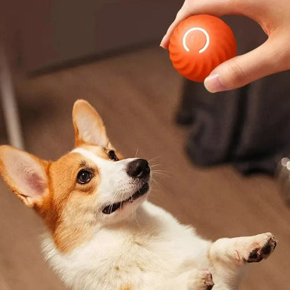 Dog Toy Hundespielzeugball, automatisch beweglicher Ball Smart-Hundeball – Bewegung, Spaß & Unterhaltung für deinen Vierbeiner!