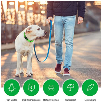 Sicherheit Hund 3-Modi LED Hundehalsband mit USB-Ladung – Leuchtendes Nacht-Halsband für Hunde & Katzen, abnehmbar, zur Verhinderung von Verlusten