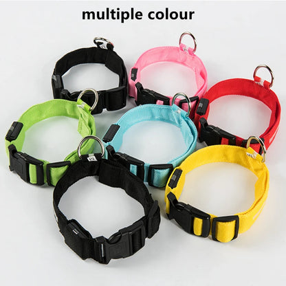 Sicherheit Hund 3-Modi LED Hundehalsband mit USB-Ladung – Leuchtendes Nacht-Halsband für Hunde & Katzen, abnehmbar, zur Verhinderung von Verlusten