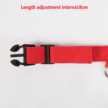 Sicherheit Hund 3-Modi LED Hundehalsband mit USB-Ladung – Leuchtendes Nacht-Halsband für Hunde & Katzen, abnehmbar, zur Verhinderung von Verlusten